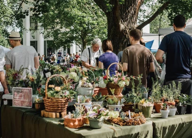 a farmers market